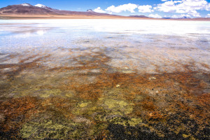 Salar de Uyuni 3-day tour, Bolivia