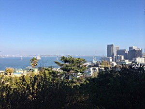 The view of San Francisco from Coit Tower on Telegraph Hill.