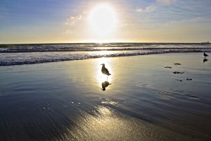 Sunset on the Pacific Ocean