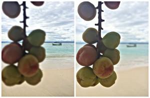 The beaches of Bocas del Toro, Panama