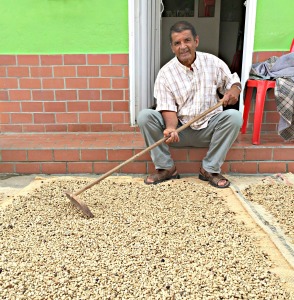 Drying coffee beans in Horizontes, Antioquia.