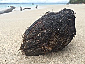 Beaches of Bocas del Toro, Panama