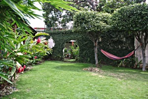 Garden, Hotel Maracuya Managua