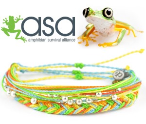 Amphibian Survival Alliance