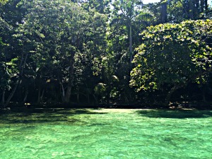 Bocas del Toro