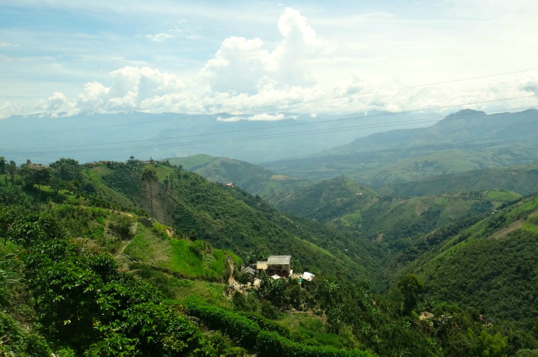 Surviving Long-Haul Bus Rides in South America