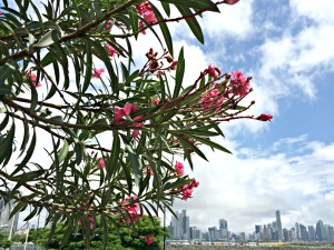 Panama City, Panama