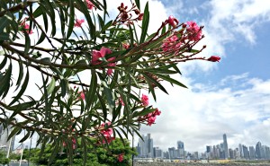 Panama City, Panama