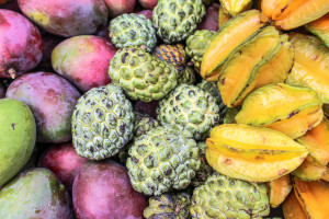 Tropical fruit in the main plaza of Santa Fe de Antioquia