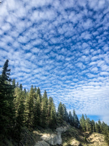 Sauer Mountain Trail, Peshastin, Washington