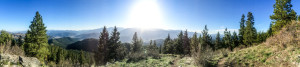 Sauer Mountain Trail, Peshastin, Washington