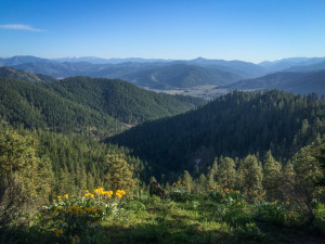 Hiking Sauer Mountain