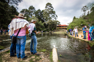 Truchera Guarne, Colombia