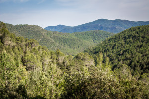 Hiking in the Pyrenees with Camping Bassegoda Park