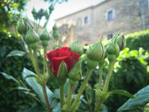 Medieval architecture in Girona, Catalonia