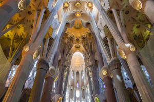 Ceiling of La Sagrada Familia, Barcelona