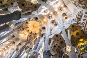 Ceiling of La Sagrada Familia, Barcelona