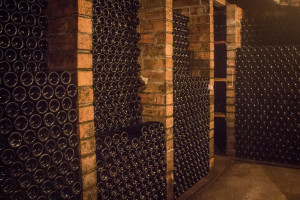 Unlabeled bottles of wine at Mas Molla Winery, Calonge, Catalonia