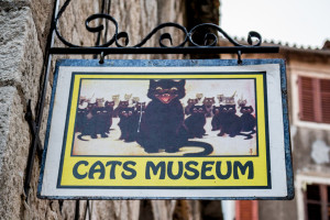 Cat Museum, Kotor, Montenegro