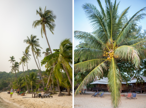 Mae Haad, Koh Phangan, Thailand