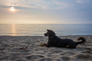 Mae Haad, Koh Phangan, Thailand