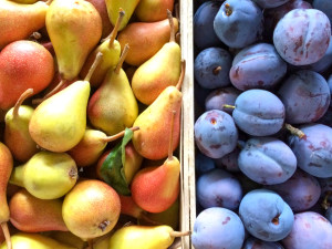 Fresh fruit at Ulcinj's farmer's market