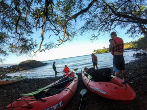 Maui Kayak Adventures