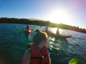 Maui Kayak Adventures