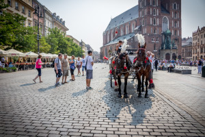 Summer in Kraków, Poland