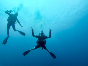 Diving in Koh Tao, Thailand