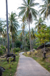 Koh Tao, Thailand