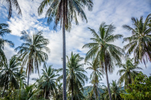 Koh Tao, Thailand