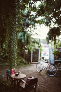 Fern Forest Cafe, Chiang Mai