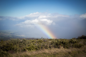 Haleakala National Park, Maui, Hawaii