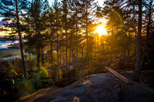 Sunset in Sweden