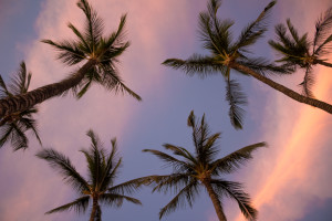 Sunset at Keawakapu Beach, Maui