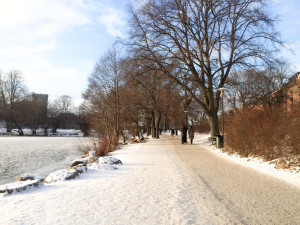 Swedish Winter