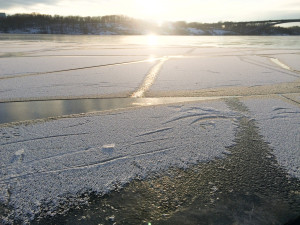 Swedish Winter