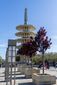 Japantown Peace Plaza, San Francisco