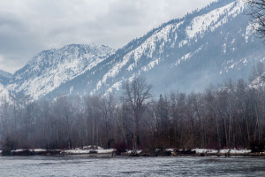 Black Bird Island, Leavenworth, Washington