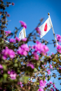 Peace Plaza, Japantown, San Francisco