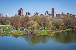 New York City icons: Central Park