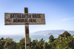 Finding Nature in San Francisco: Lands End