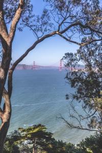 Finding Nature in San Francisco: Lands End