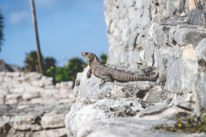 Tulum Mayan ruins, Tulum, Mexico