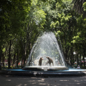 Unexpected things to do in Mexico City: Stroll through the city's many parks