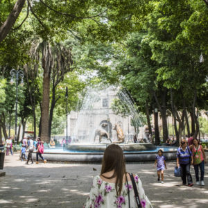 Unexpected things to do in Mexico City: Stroll through the city's many parks