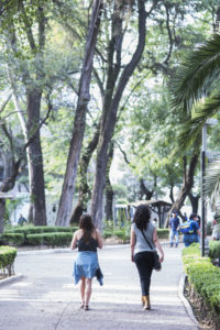 Unexpected things to do in Mexico City: Stroll through the city's many parks