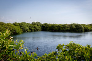 Hidden cenote in Tulum, Mexico