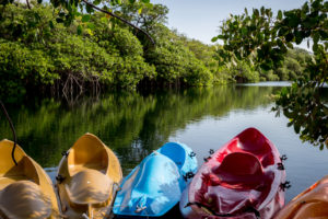 Hidden cenote in Tulum, Mexico